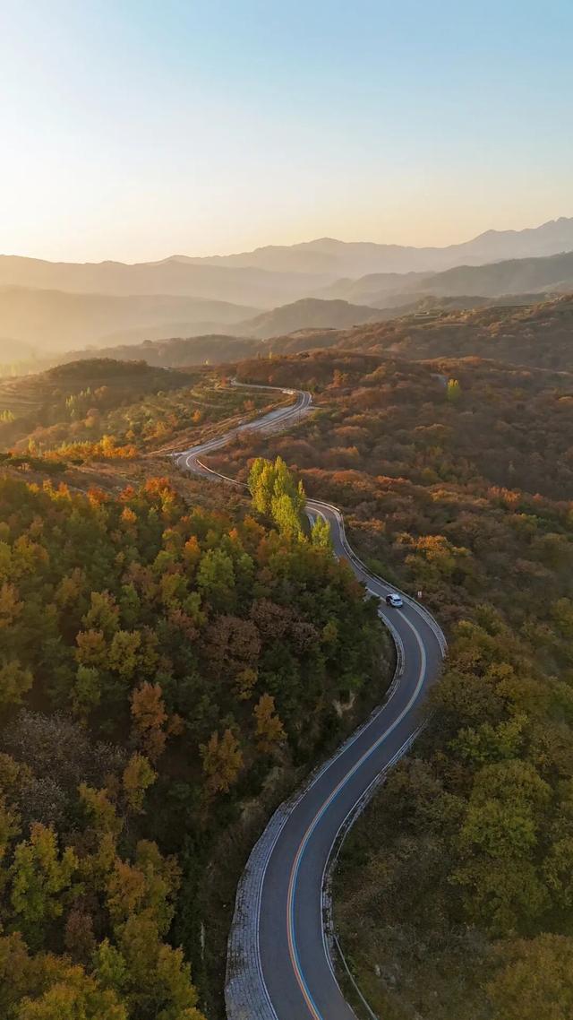 璀璨斑斓！日照这条路，现在美到不像话！