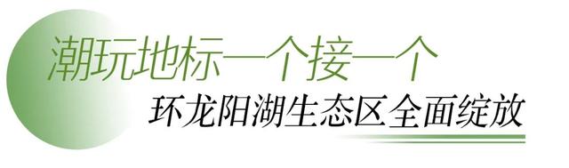 龙阳湖畔，潮玩一个接一个！