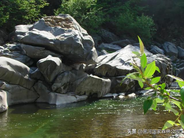 九月的黑河，一半是山野的绿意，一半是秋天的凉风
