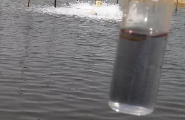 中国人为啥对酸味又爱又恨？一文讲清楚这背后的亿年演化历史