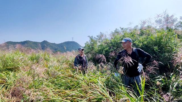 长峪村五峰山后山行记