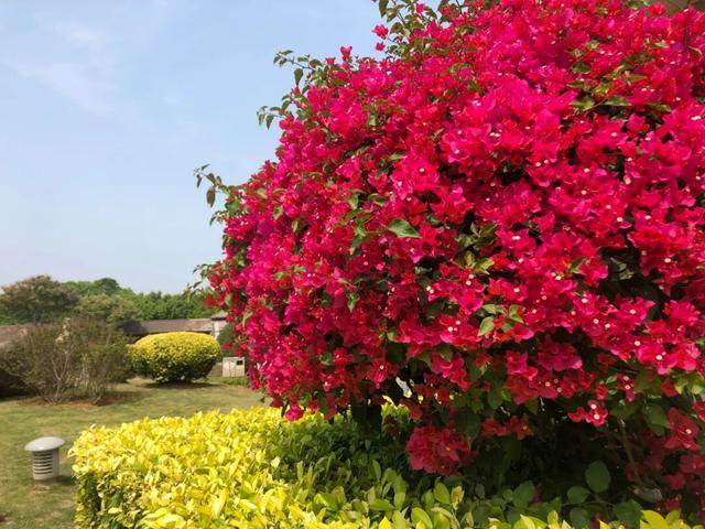 躲避寒冬！跟我一起南下做“候鸟”，体验粤港澳魅力，纵享海南岛热带风情