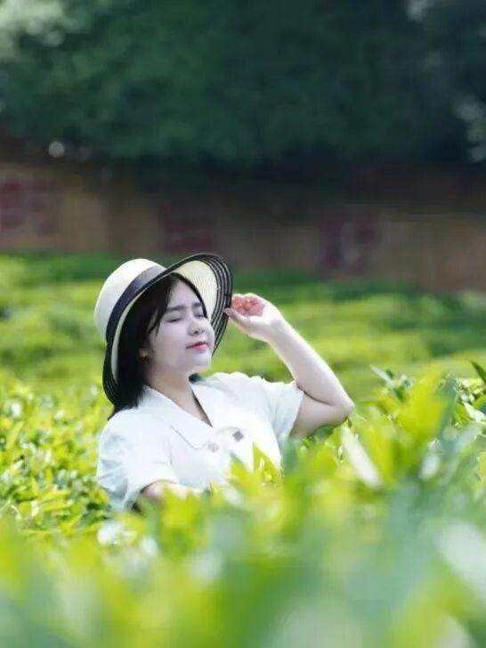 别再去人挤人！这座宝藏小城，一半是山水，一半是客家味