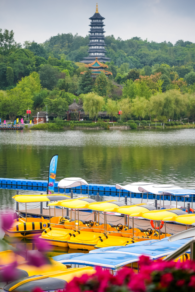 周末圈 | 轨道交通可达，重庆这14个公园，周末撒欢超开心！