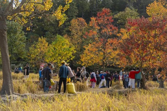 红叶如火，塔川正浓 | 皖美冬日 | 第十五届安徽国际文化旅游节