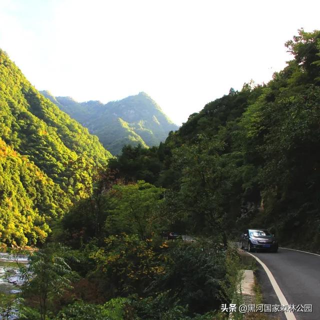 绿野仙踪+山水秘境!快来黑河抓住夏天的尾巴,奔赴一场绿意清凉之约