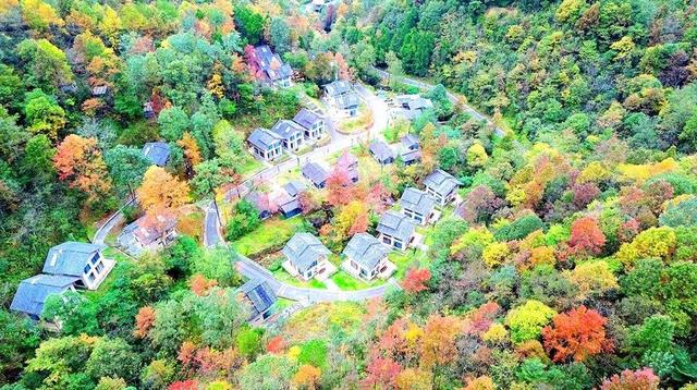 为有秋色赋人间