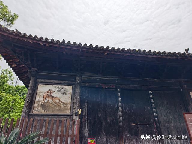 成都徒步（64）·新津篇③观音寺