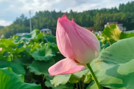 低层次的人习惯“研究别人”，高层次的人都在“研究自己”图片