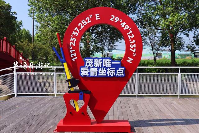 浙江宁波这片花海不仅变身荷塘，还新增许多游乐项目，太值得游玩