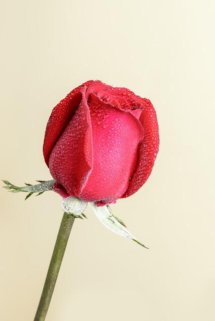 对老公寒心后，女人这么做，不离也能活得漂亮