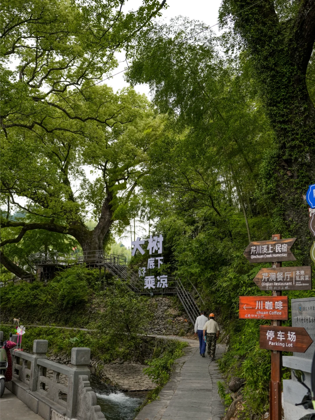 上海周边藏着7个清凉古村落，夏日均温二十多度，
