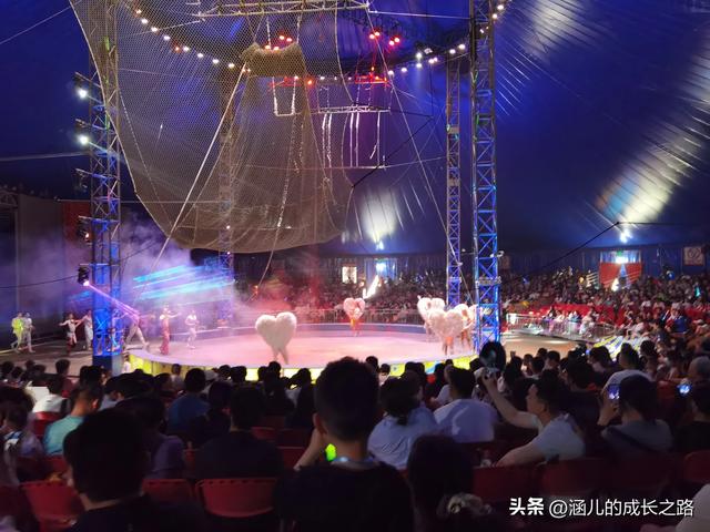 最新天津极地海洋馆一日游攻略——亲测实用!所有演出都可看完!