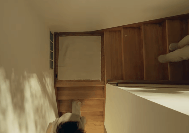 真·首个进家的人形机器人来了！两万美元，开启预定