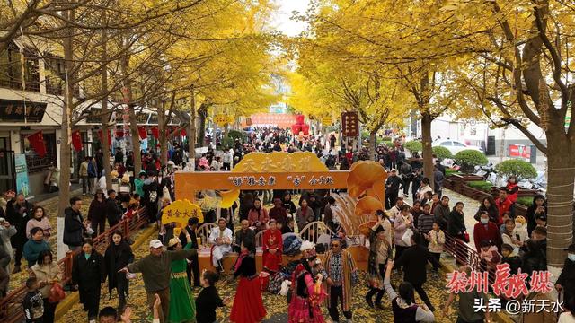 “黄金大道”旅游周落幕 银杏铺笺载盛景 秦州风华留美韵