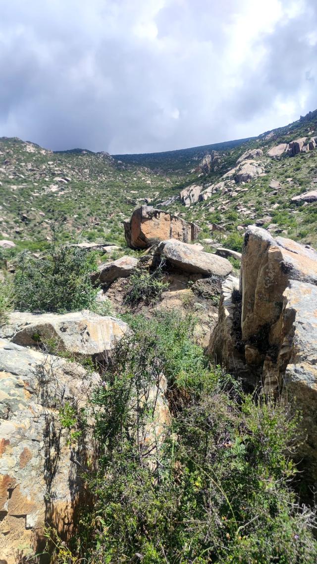 爬拉萨哲蚌寺后山，从海拔3600米到山顶5300米，上下20公里