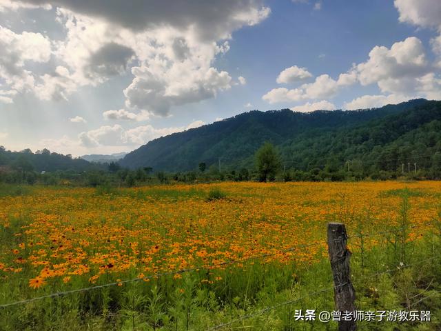西安黑河森林公园，周至老县城游玩心得真实体验