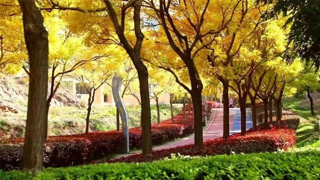 【白银文旅】金秋画卷里，白银区有片放松身心的好地方
