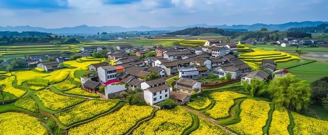 对比婺源、庐山，我推荐这几个小众地方，一样美哭了！