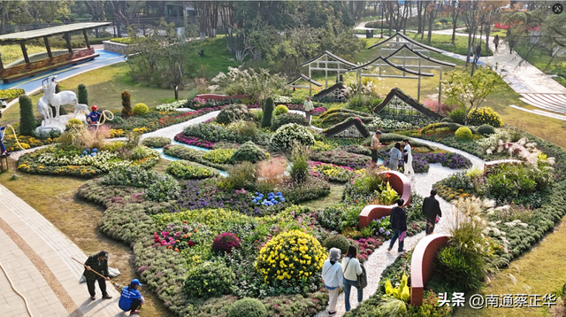 来了来了！南通秋天的仪式感