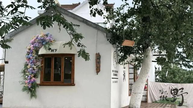 定向赛将至，来游峨桥美！11 月来 “茶香山水” 间解锁诗意乡村