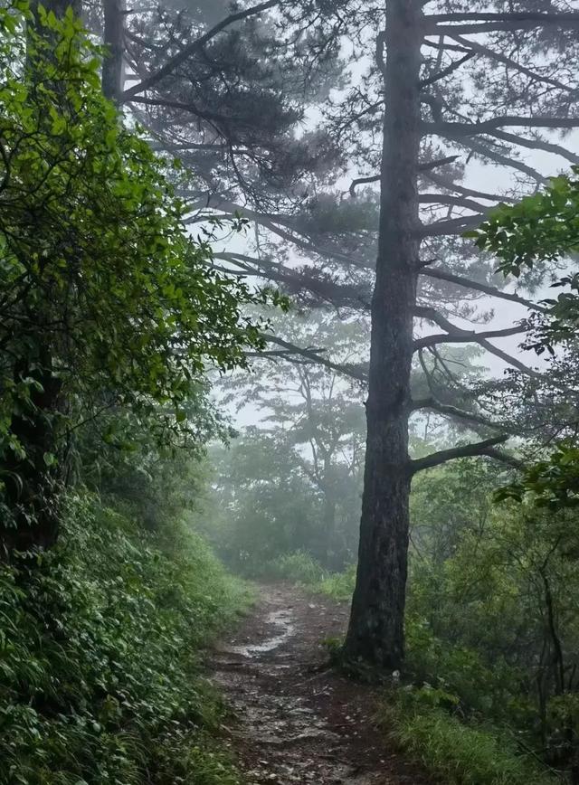 浔城故事 | 雨中登顶汉阳峰