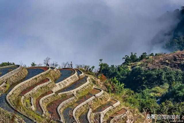 话说闽西丨望阙亭里说报恩