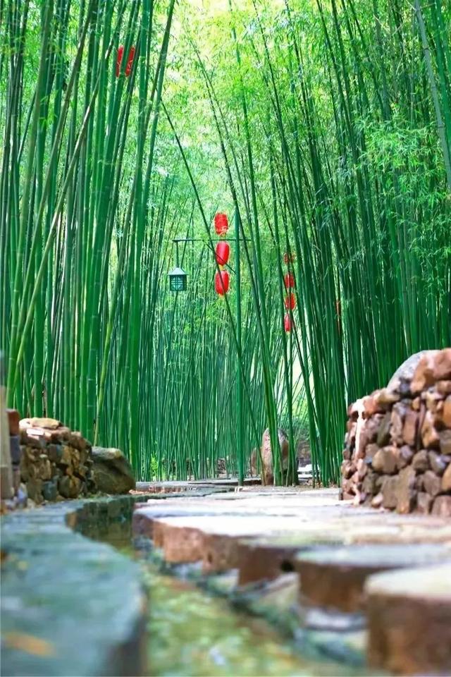 热热热！今日入伏，在临沂解暑有“凉”方！