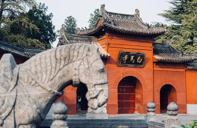 洛阳荣登抖音热门宝藏城市TOP1！老少爷们儿，咱真中！