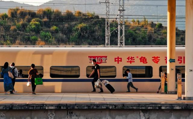 孤独的心	，何处是归途