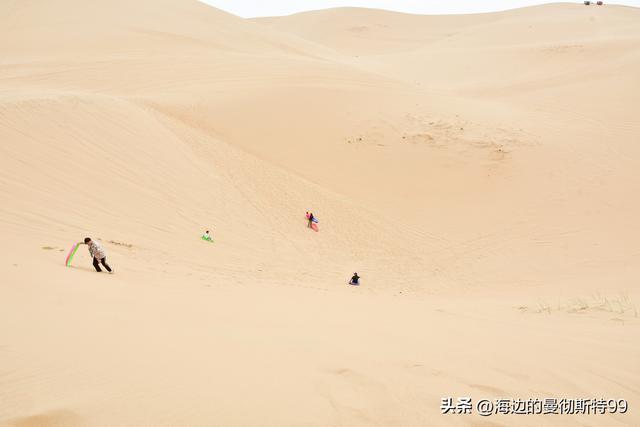 海边游记｜沙海狂飙与绿洲寻踪：内蒙古腾格里沙漠一日“历险记”