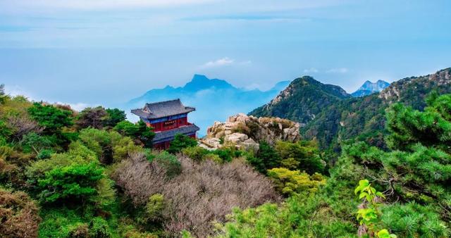 谁说旅游靠腿？来山东这么玩，日均步数＜5K！