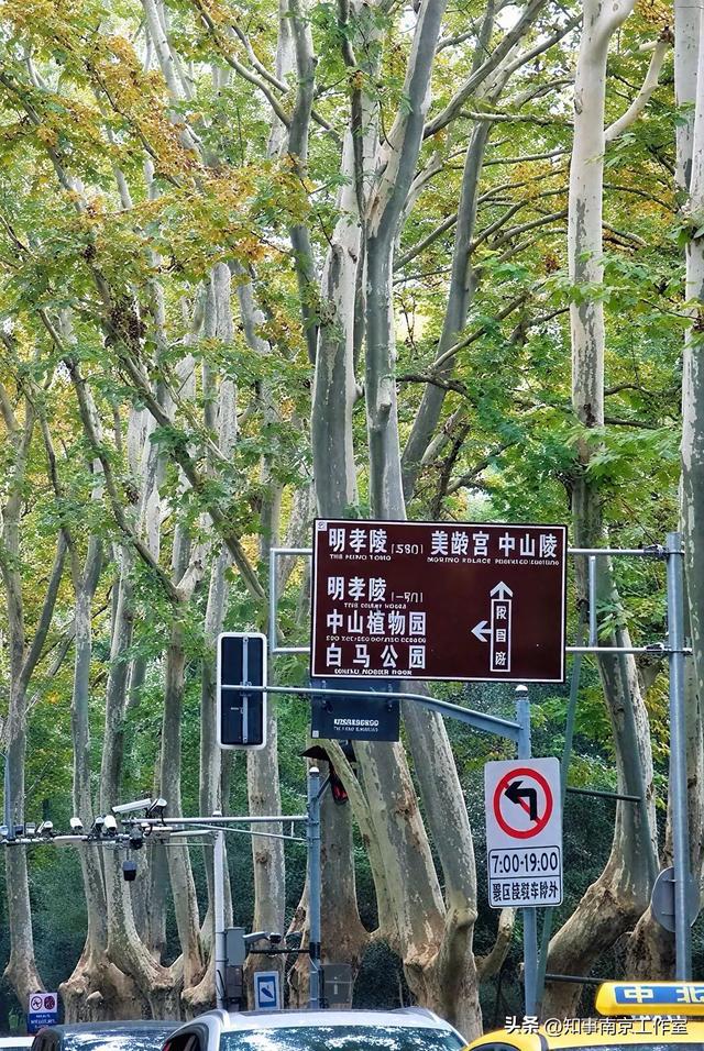 这块南京顶流打卡地居然变成这样了？