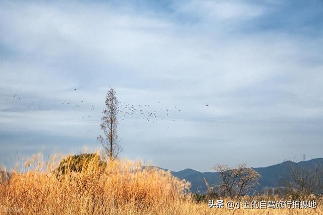 良渚古城一日游攻略｜穿越 5000 年文明，高效打卡世界遗产