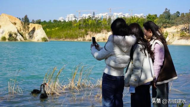 黑天鹅在建水五龙湖的前世与今朝