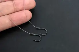 “大力马线”很结实，为何台钓用的人不多？有4个“缺点”！图片