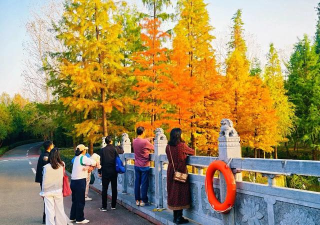 刚拍下!洛阳这个大型公园美爆了