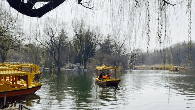 潍坊一4A级景区官宣！永久免门票啦！