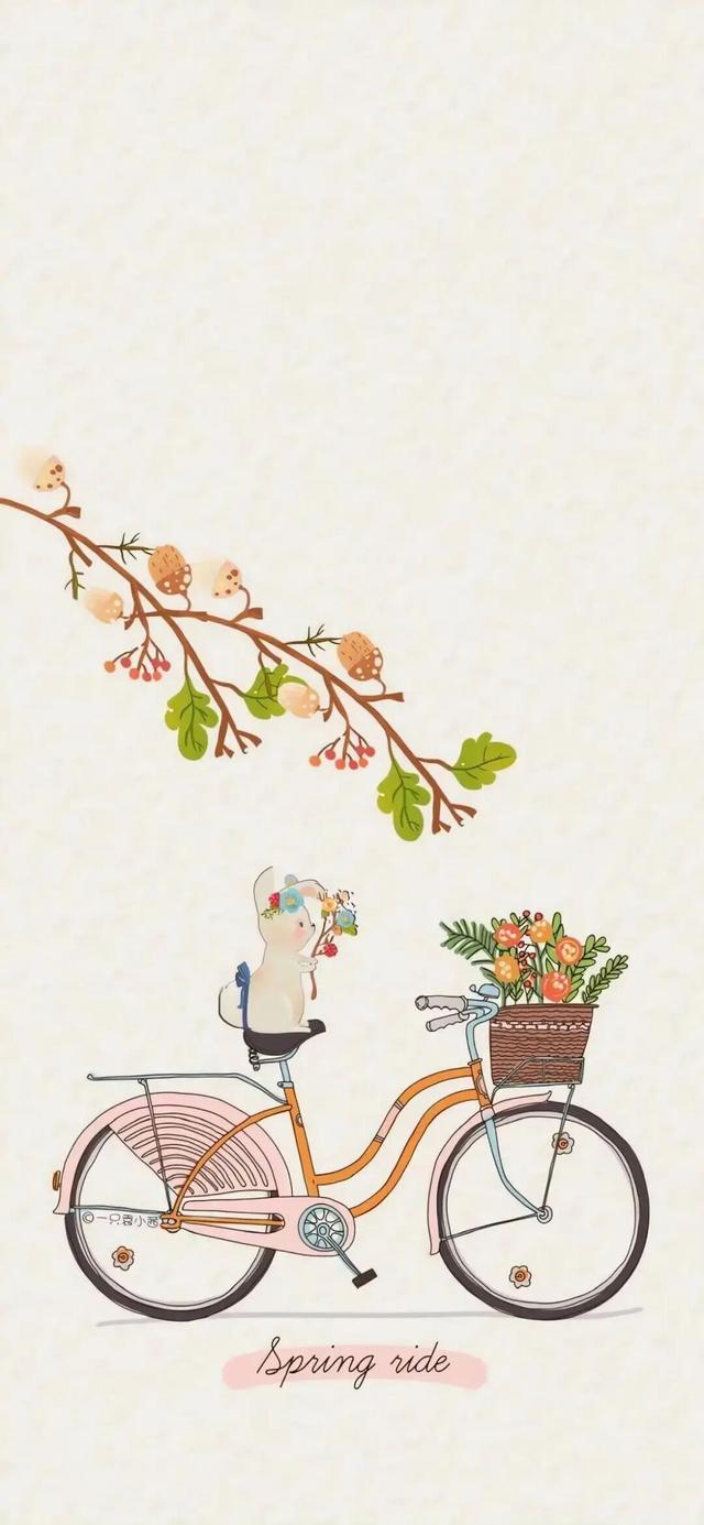 iPhone壁纸套图｜69张 iOS壁纸