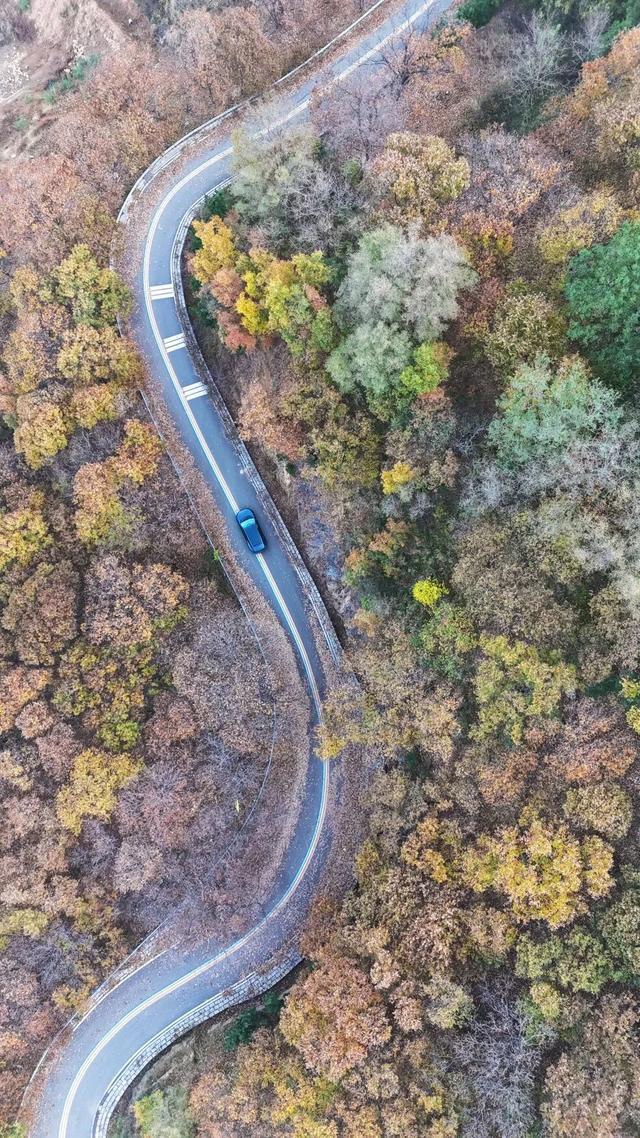 璀璨斑斓！日照这条路，现在美到不像话！