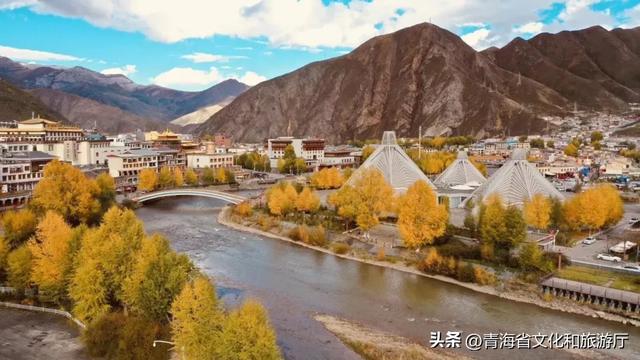黄叶、秋风与斜阳，玉树的秋藏着你要的绚烂与深沉
