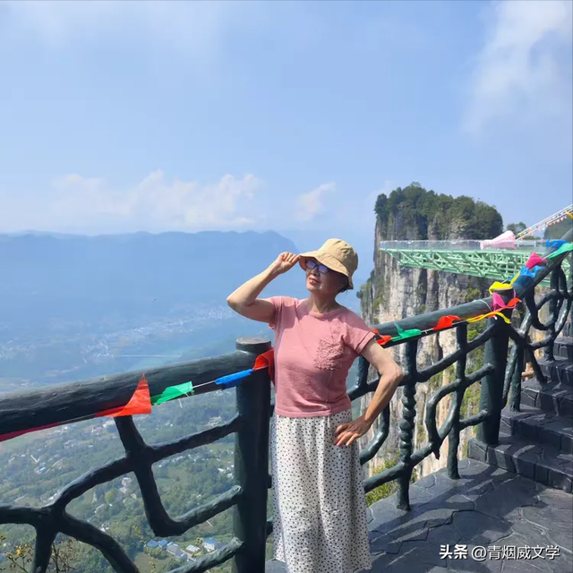 乙巳花坪避暑集锦
