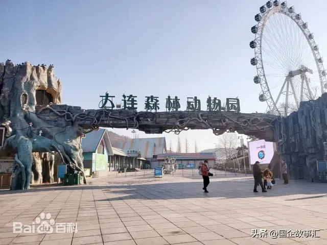 辽东半岛游记第六天，大连森林动物园