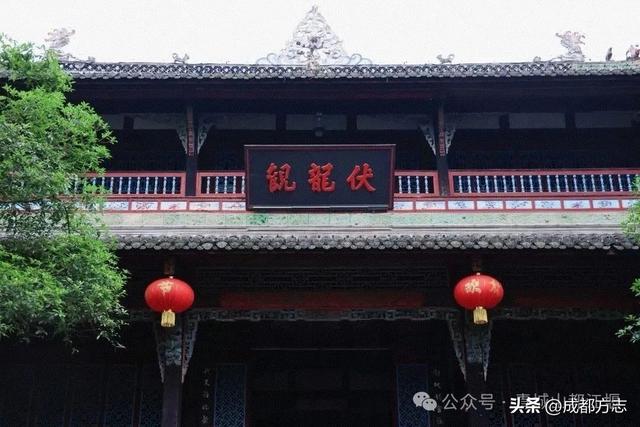 成都千年紫薇绽放，错过等一年→