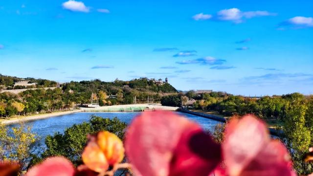 此时的你,被美到了!