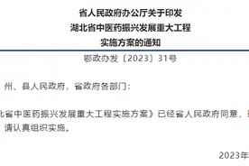 湖北省人民政府办公厅印发湖北省中医药振兴发展重大工程实施方案图片