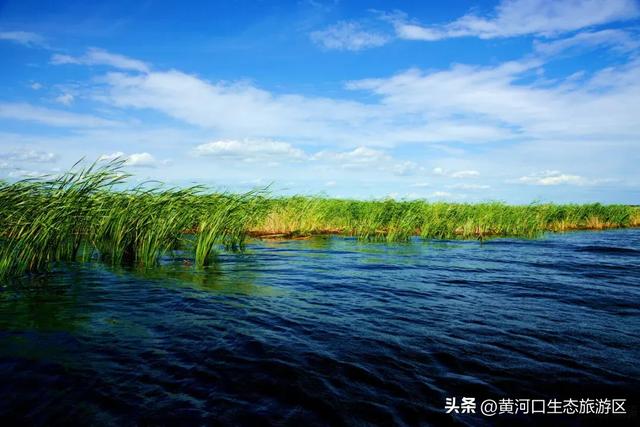 【黄河口生态旅游区】开学季 奔赴自然之美