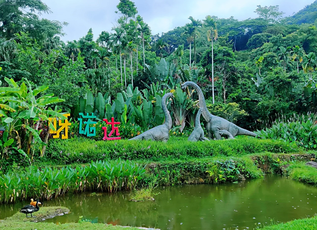 我是北京人，去了趟海南三亚，实在忍不住想说：对三亚的6点印象