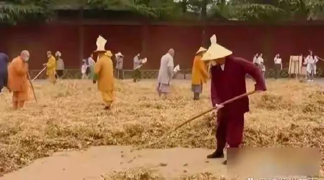 少林寺“大逃亡”！30多名和尚连夜出走，新方丈三把火烧出大动静