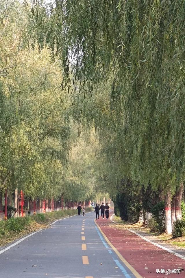 魏县：一卷斑斓 满城诗意